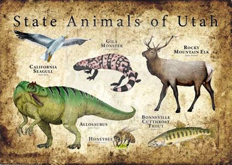 What Animal Is Utah Known For? And The Various Discussions Surrounding It